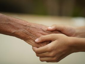 {{brizy_dc_image_alt entityId=